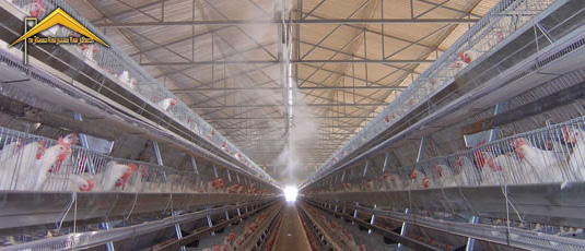 استفاده از سیستم مه پاش در مرغداری