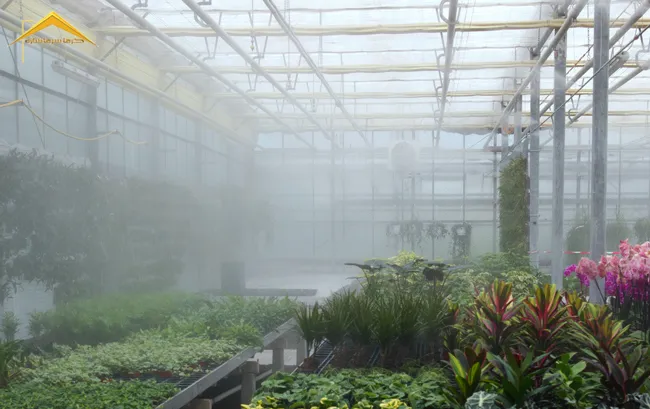 استفاده از مه پاش در گلخانه